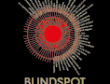 disquaire Blind Spot RENNES