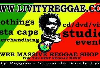 disquaire livity reggae lyon