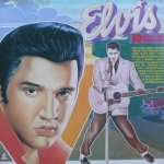 Buy vinyl record Elvis Presley 10 anos de saudaces for sale