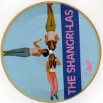 Buy vinyl record SHANGRI-LAS WALKING IN THE SAND/PAST, PRESENT… – SP PICTURE DISC – EDIT. 1000 EX for sale
