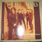 Acheter un disque vinyle à vendre INXS What you need (remix)
