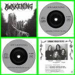 Acheter un disque vinyle à vendre Awakening Swimming through the past
