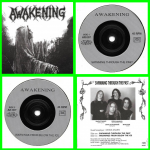 Buy vinyl record Awakening Swimming through the past for sale