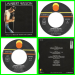 Buy vinyl record Lambert Wilson / Serge Gainsbourg L'eau à la bouche for sale