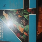 Buy vinyl record Caramva Los machucambos for sale