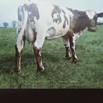 Buy vinyl record PINK  FLOYD ATOM HEART MOTHER for sale