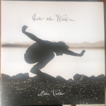 Buy vinyl record Eddie Vedder Into the wild for sale