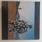 Buy vinyl record Pink Floyd Delicate Sound of Thunder for sale