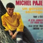 Buy vinyl record Michel Paje Un garçon sauvage for sale