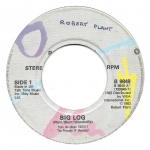 Buy vinyl record Robert Plant Big log for sale