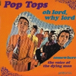 Buy vinyl record Pop Tops Oh lord, why lord for sale