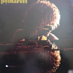 Acheter un disque vinyle à vendre Michel Polnareff Now