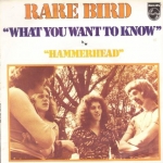 Buy vinyl record Rare Bird What you want to know for sale
