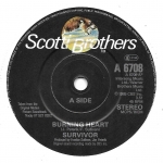 Buy vinyl record Survivor Burning heart for sale