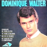 Acheter un disque vinyle à vendre Dominique Walter Pourquoi ne viens-tu pas