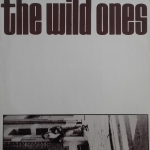 Acheter un disque vinyle à vendre The Wild Ones Crossroads