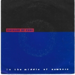Acheter un disque vinyle à vendre CATALOG OF COOL I8n The Middle of Nowhere