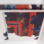 Acheter un disque vinyle à vendre Grizzly Bear Painted Ruins