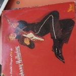 Acheter un disque vinyle à vendre johnny halliday Le double disque d'or de Johnny halliday