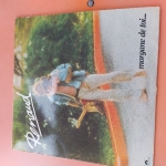 Acheter un disque vinyle à vendre renaud Morgane de toi