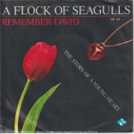 Acheter un disque vinyle à vendre A FLOCK OF SEAGULLS remember David / The Story of a Young Heart
